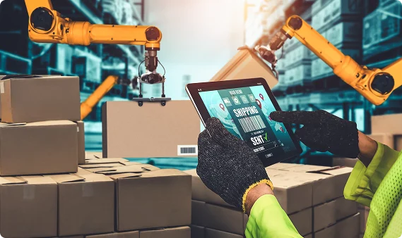 Architecture and Services